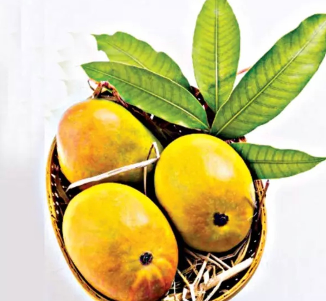 Deccan Chronicle Summertime